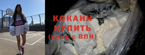 прущий лед Бородино