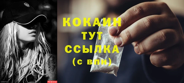 прущий лед Бородино