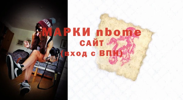 прущий лед Бородино