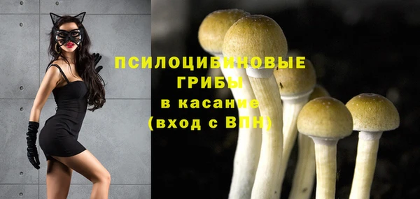 ПСИЛОЦИБИНОВЫЕ ГРИБЫ Богородск