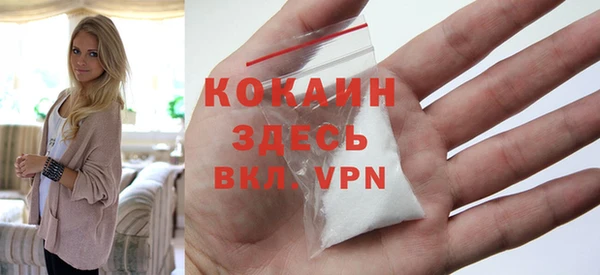 прущий лед Бородино