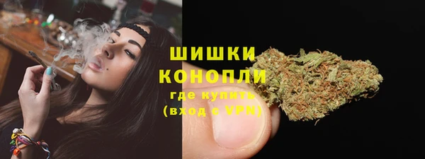 PSILOCYBIN Бронницы