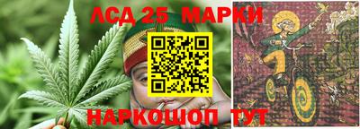 стаф Аргун