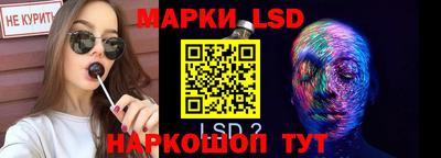стаф Аргун