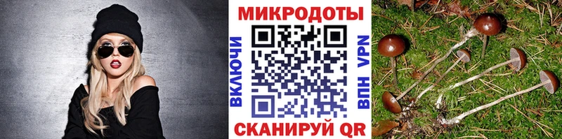 Галлюциногенные грибы мицелий  Вязники 